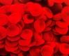 Эритроциты медленнее оседают при ионизации воздуха. С сайта: Ионизаторы воздуха (Люстры Чижевского) Аэроион-25